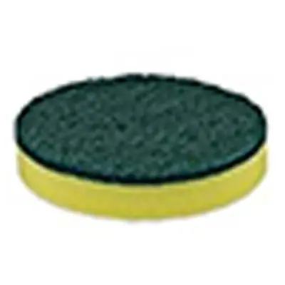 Esponja Verde